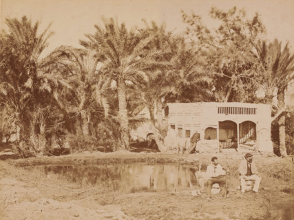 Three men, sitting and standing by a pond surrounded by palm trees, photograph, number: 'No 72',