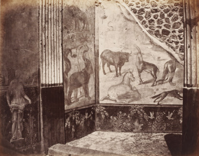 Fresco with different animals in a building in Pompeii, Italy, photograph, number: '11',