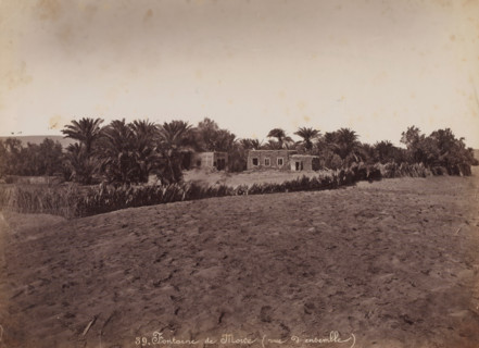 View of the Moses Fountain near Suez, Fontaine de Moïse (vue d'ensemble), photograph, number: '39