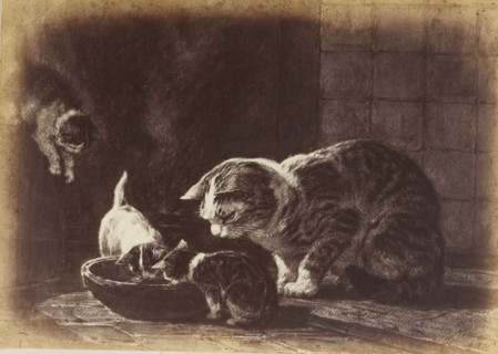 Photo reproduction of the painting 'After the meal' by Henriëtte Ronner, photograph, reproduction,