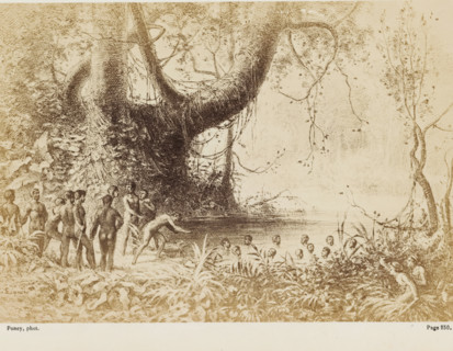 Ces grosses têtes noires surnageaient seules, graves, silencieuces..., Photo reproduction of a