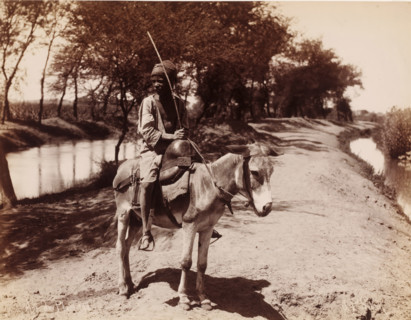 Unknown boy on a donkey, Ane de Place, photograph, number: '148', photographer: Jean Pascal Sébah,