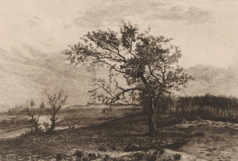 Landscape in the Kempen, print, printmaker: Jerôme Tuyttens (signed by artist), c. 1850 - 1883,