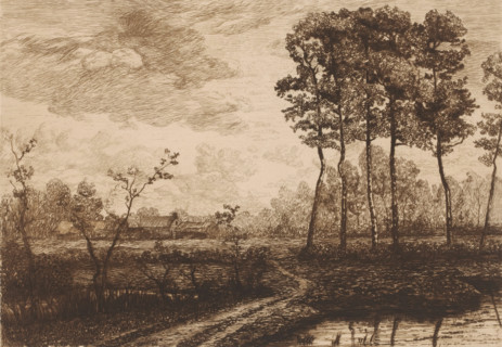 Landscape with row of birches, print, printmaker: Jerôme Tuyttens (signed by artist), c. 1850 -