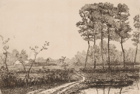 Landscape with row of birches, print, printmaker: Jerôme Tuyttens (signed by artist), c. 1850 -