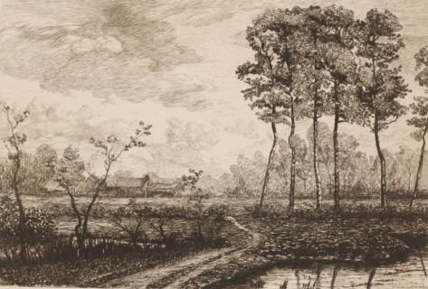 Landscape with row of birches, print, printmaker: Jerôme Tuyttens (signed by artist), c. 1850 -