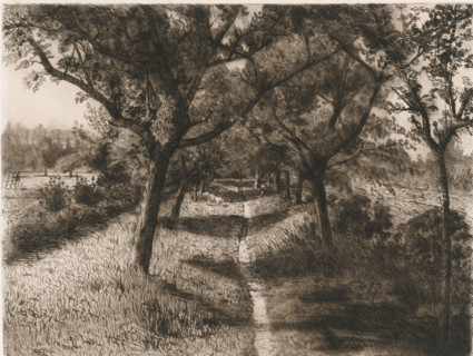 Path with adjacent trees, print, printmaker: Egbert Rubertus Derk Schaap (signed by artist), c.