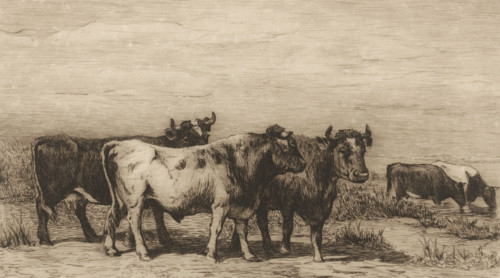 Landscape with cattle (original title), print, printmaker: Philip Zilcken, after design by Johannes