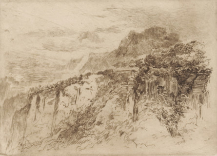 Mountains in Seelisberg, print, number: '338', printmaker: Carel Nicolaas Storm van 's-Gravesande
