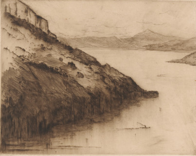 View of Lake Lucerne seen from Axenstein, print, number: '350', printmaker: Carel Nicolaas Storm