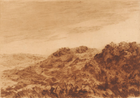 Dune landscape near The Hague, print, number: '425', printmaker: Carel Nicolaas Storm van