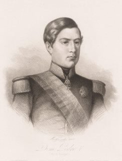Portrait of Peter V of Portugal, Dom Pedro V, print, printmaker: Pierre Guillaume Metzmacher,