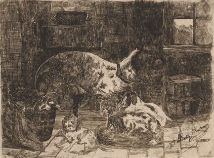 Dog with a litter of cubs, print, printmaker: Vicomte Arthur-Jean Le Bailly d'Inghuem, 1850 - 1899,