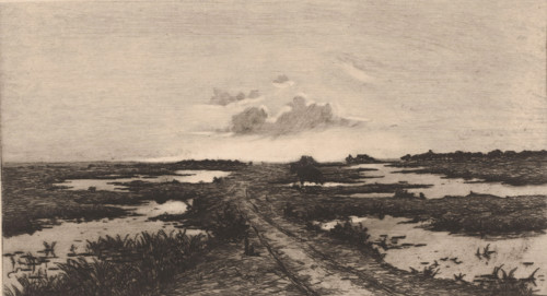 Swampland at dusk, print, printmaker: Emile de Baré (signed by artist), 1865 - 1902, paper,