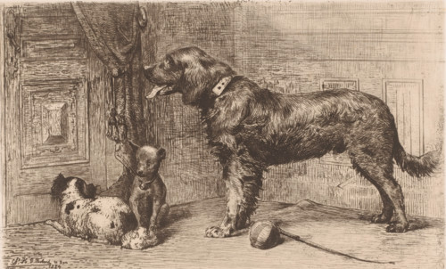 Three dogs waiting by a door, print, printmaker: Charles Hubert Denis Boland, printer (person): F.