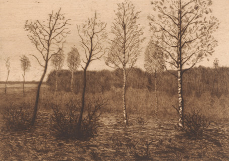 Landscape with birch trees, print, printmaker: Herman Boulenger (signed by artist), 1893, paper,