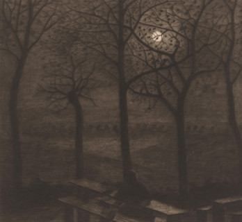 Figure at a picnic table in a moonlit landscape with bare trees, print, printmaker: Herman