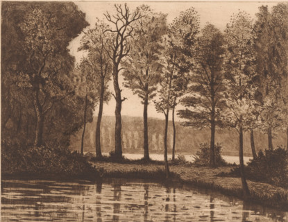 Lake surrounded by trees, print, printmaker: Herman Boulenger (signed by artist), 1893, paper,