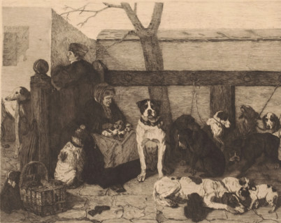 Dog market, print, annotation: 'La marche aux chiens d'apres J Stevens', annotation: '2m état',