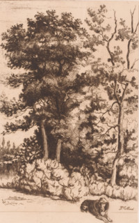 View of a forest in front of which a dog is sitting, print, printmaker: Armand Collard, 1848 -
