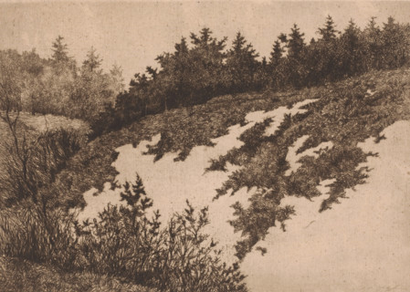 View of a sand quarry near Uccle, Vue d'apres nature a Uccle, print, annotation: '1er etat, deuz