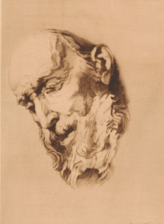 Head of a bearded old man looking down, print, annotation: '1er état, deux epreuves', printmaker: