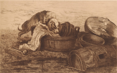 Dog in a washing up bowl at the edge of the water, print, annotation: 'd'apres Rubens, 1er état',