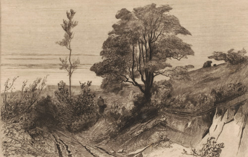 Country road near Warnant, Souvenir de Moulins-Warnaut (original title), print, Country road in a