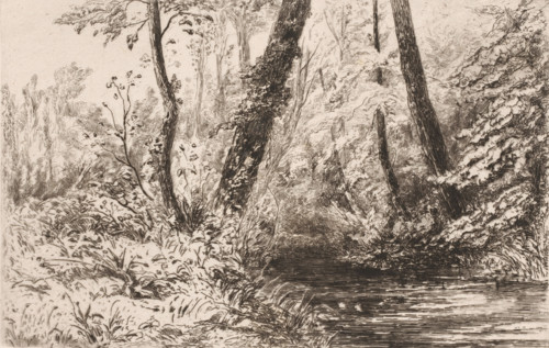 View of the Veules River, Souvenir des cressonnières à Veules en caux, Au bord de la Veule