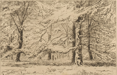 In the park of Groeneveld Castle (original title), Trees on the Groeneveld Castle estate, The