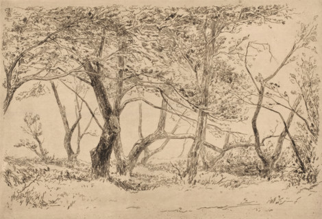 Group of trees in the dunes near Haarlem, Groupe d'arbres dans les dunes près de Haarlem (original