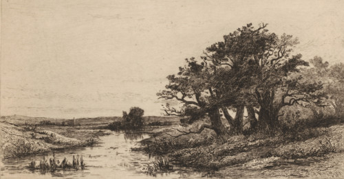Landscape with oak trees near Wolfheze, Vieux chênes à Wolfhezen (original title), Sketches of