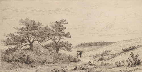 The Heather at Worth-Rheden (original title), Heathland landscape near Worth-Rheden, print, In the