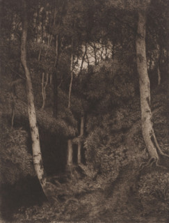 Birch forest with waterfall, print, printmaker: Alfred Elsen, 1860 - 1910, paper, chine collé,