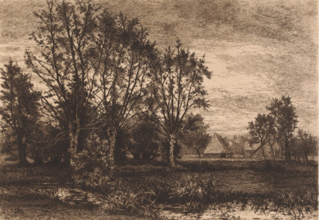Landscape with four willows and a brook, print, mark: 'Antwerpsche etsers 1880', printmaker: Alfred