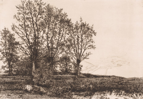 Landscape with four willows and a brook, print, inscription: 'Paysage over quatre ..., 1e Etat',