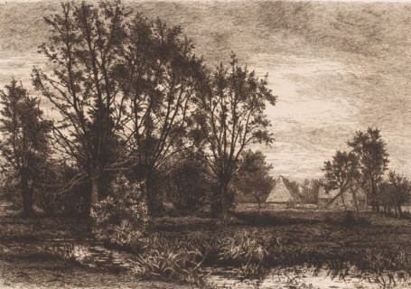 Landscape with four willows and a brook, print, inscription: '3e Etat', printmaker: Alfred Elsen,