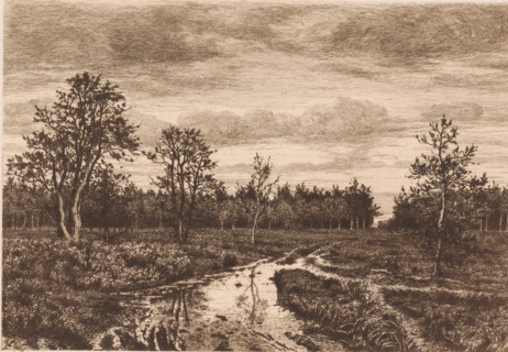 Swamp landscape at twilight, print, mark: 'Antwerpsche Etsers 1880', printmaker: Alfred Elsen, 1860