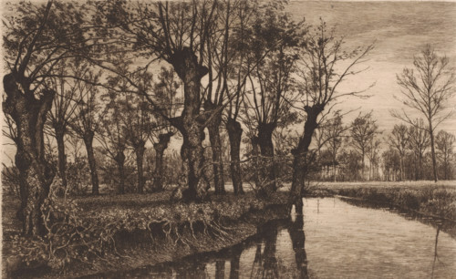 Willows along the bank of a brook, print, mark: 'Antwerpsche Etsers 1880', printmaker: Alfred