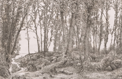 Forest view with a stream on the left, print, inscription: '1e etat unique', printmaker: Alfred