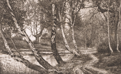 Landscape with birch trees along a bank, print, inscription: '5e etat', printmaker: Alfred Elsen,