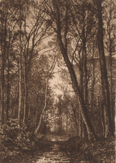 Forest path in autumn, print, mark: 'Antwerpsche Etsers 1880', printmaker: Alfred Elsen, 1860 -