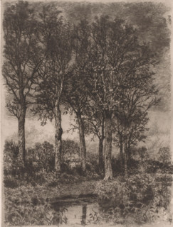 Trees by the water with buildings in the background, print, printmaker: Alfred Elsen, 1860 - 1910,