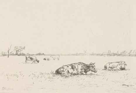 Vaches au paturage (original title on object), Meadow with cows, print, printmaker: Alphonse