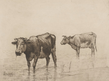 Two cows in a puddle, print, watermark, printmaker: Alphonse Stengelin (signed by artist), printer