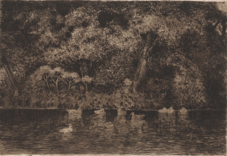 Pond with ducks, print, annotation: 'Epreuve teintée morture (?)', printmaker: Jules Guiette, 1862