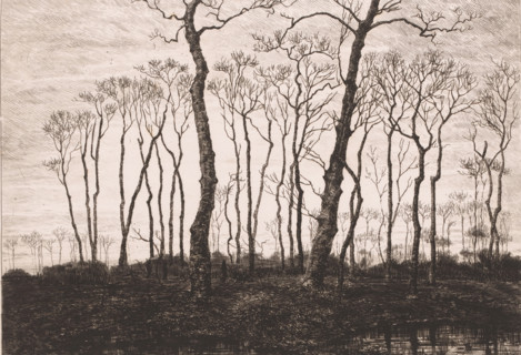 Twilight in winter, print, annotation: 'crépuscule en décembre', printmaker: Jules Guiette, 1862 -