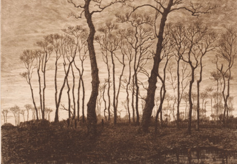 Twilight in winter, print, workshop stamp: 'Antwerpsche Etsers 1880', printmaker: Jules Guiette