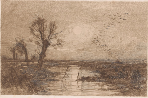 Swamp with four willows, print, annotation: '1er Etat', printmaker: Jules Guiette, 1862 - 1901,