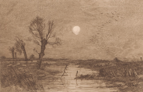 Swamp with four willows, print, annotation: 'Le marais avec les quatre saules, 1er Etat',